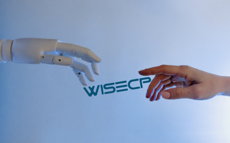What is WiseCp?